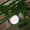 Blackjack Wax Co. soy candles